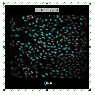 图T28.29  Cells within Cyan Gate Highlighted on Picture Plot (图像绘图上蓝绿色门中的细胞被高亮显示)